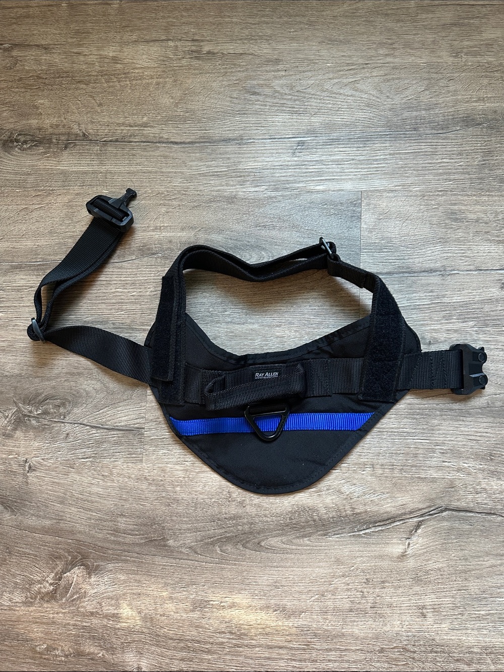 Ray Allen Black Dog Harness with Blue Line Accent